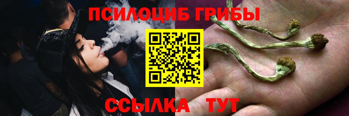 Галлюциногенные грибы Cubensis Иваново